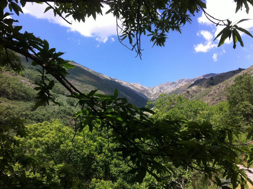Casa Rural Sierra De Tormantos Guijo de Santa Bárbara Eksteriør billede