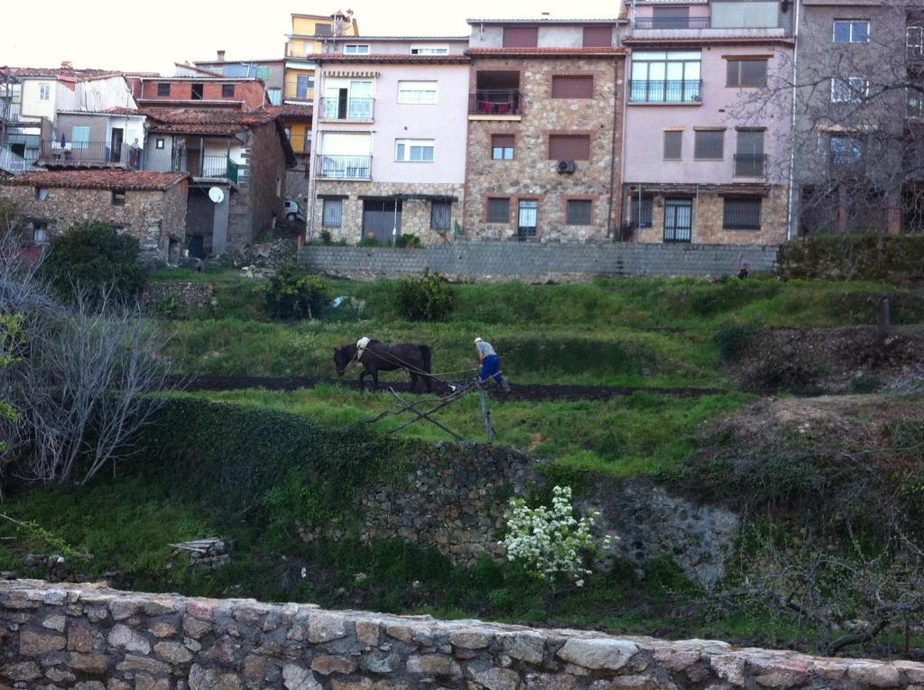 Casa Rural Sierra De Tormantos Guijo de Santa Bárbara Eksteriør billede