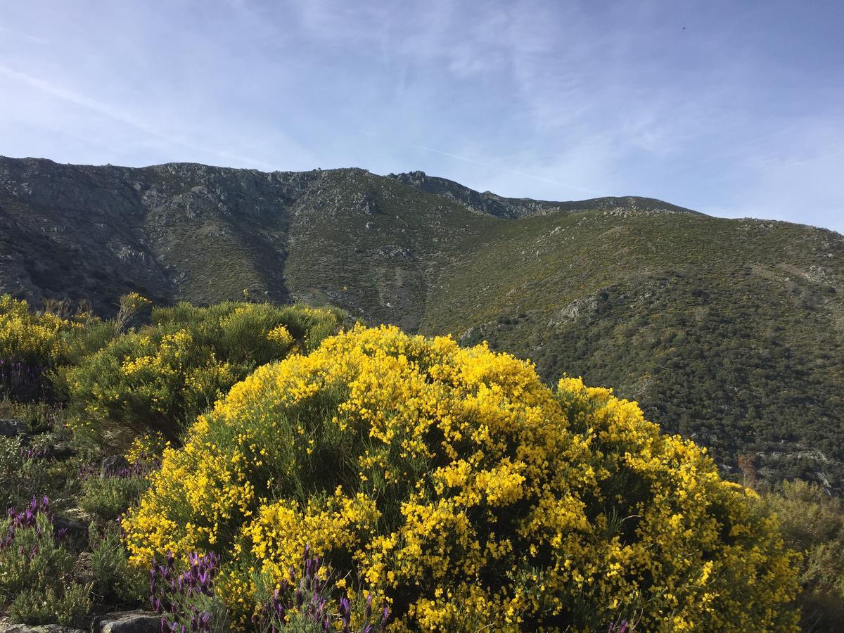 Casa Rural Sierra De Tormantos Guijo de Santa Bárbara Eksteriør billede