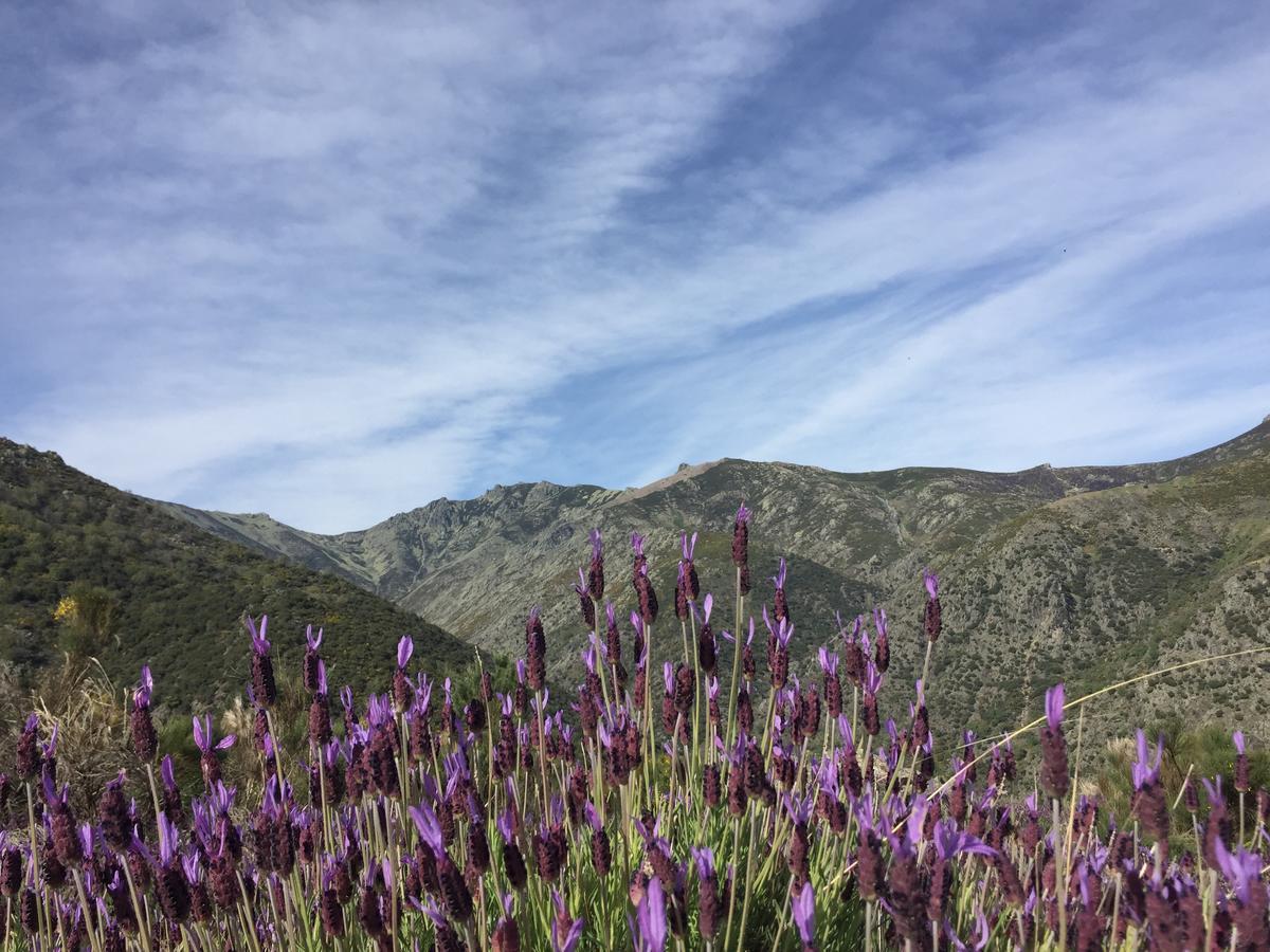 Casa Rural Sierra De Tormantos Guijo de Santa Bárbara Eksteriør billede